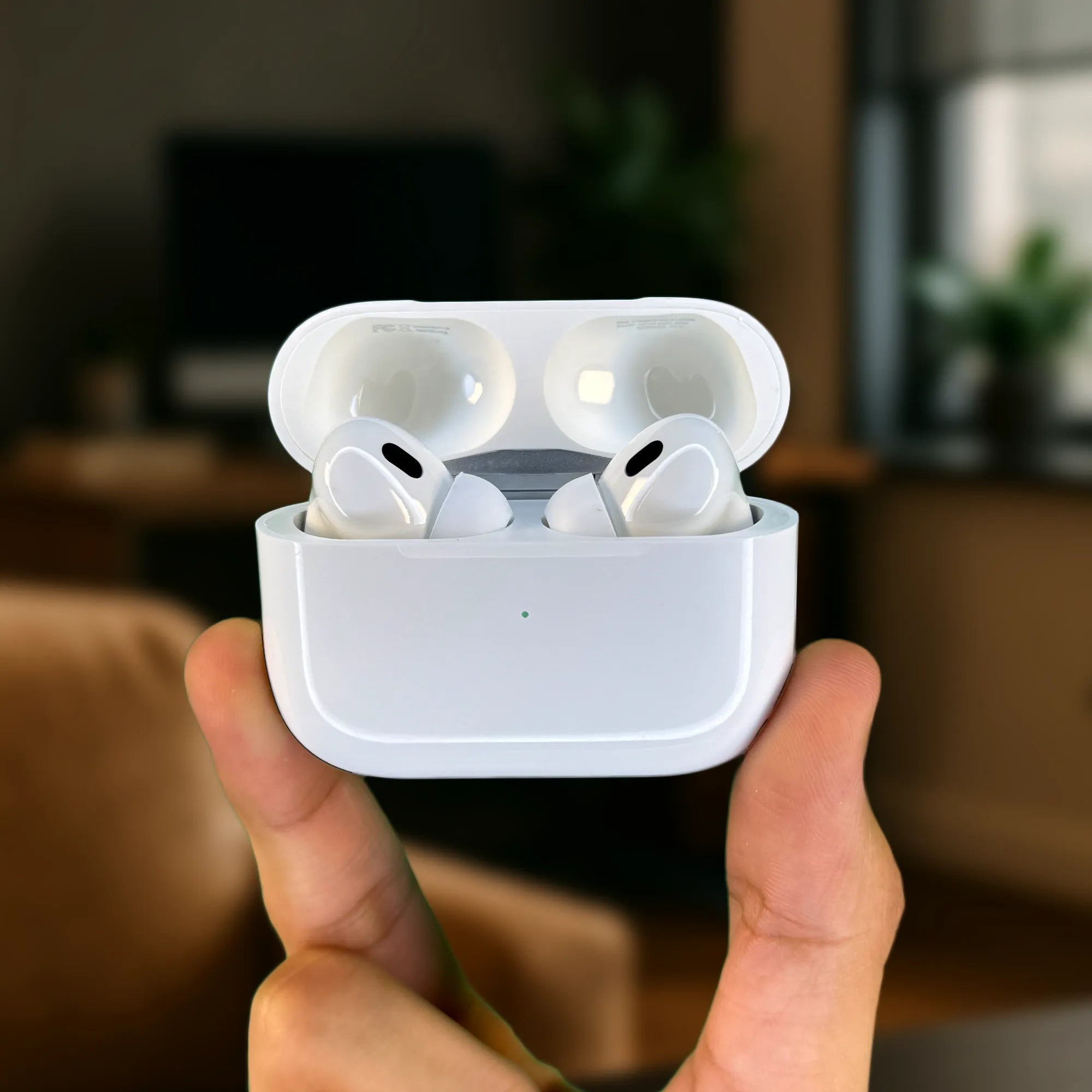 AirPods Pro 2 ANC Earbuds (Carbon Titanium Edition)